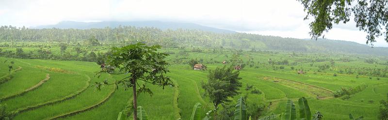 pano_rice_terasse 