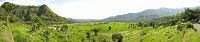 pano_rice_terasse2 